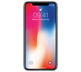 Apple iPhone X 256GB Серый Космос Apple - Сервис Плюс Рус