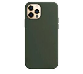 Чехол силиконовый для iPhone 12 / iPhone 12 Pro Silicone Case MagSafe Cyprus Green - Сервис Плюс Рус