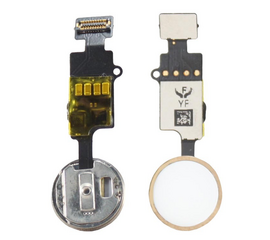 Кнопка HOME iPhone 7/ iPhone 7 Plus / iPhone 8/ iPhone 8 Plus золотой (74YB) PluseRus - Сервис Плюс Рус