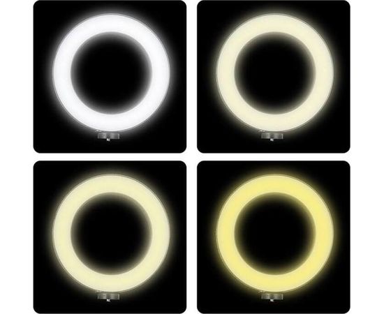 Кольцевая светодиодная лампа 26 см со штативом для профессиональной съемки Ring Fill Light (SL-2610) - Сервис Плюс Рус